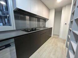 Amber Park (D15), Condominium #560571661